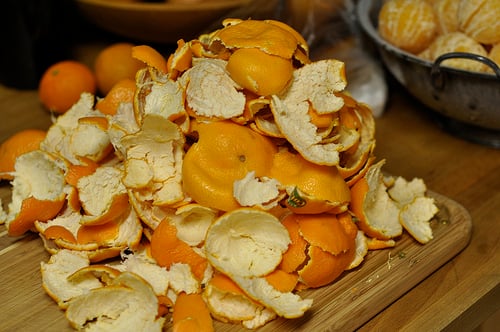 Canned Clementines for the Can Jam – Food in Jars