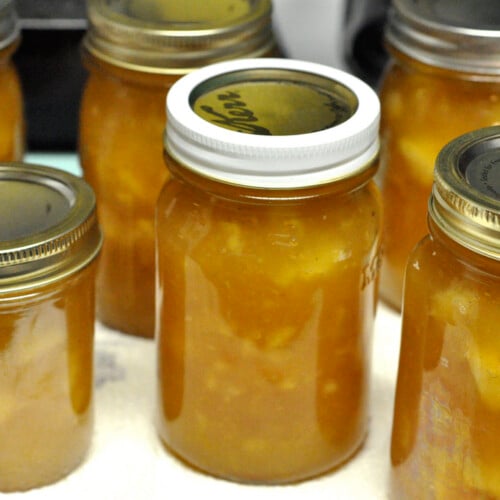 https://foodinjars.com/wp-content/uploads/2010/01/honey-lemon-apple-jam-500x500.jpg