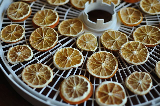 Various Drying Methods for Making Dried Lemons, How to Make Dried Lemon  Slices & Powder