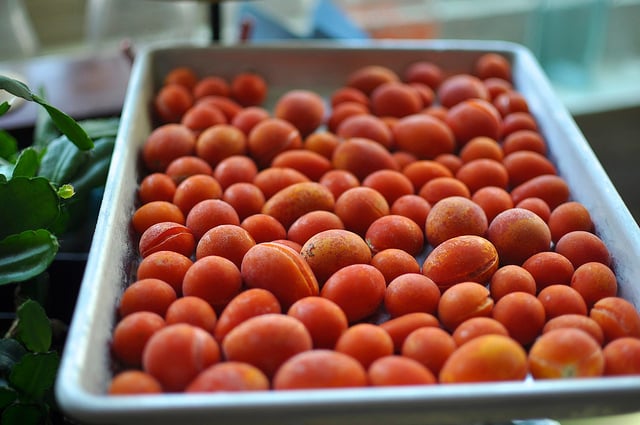 Five Ways To Preserve Small Tomatoes Food In Jars