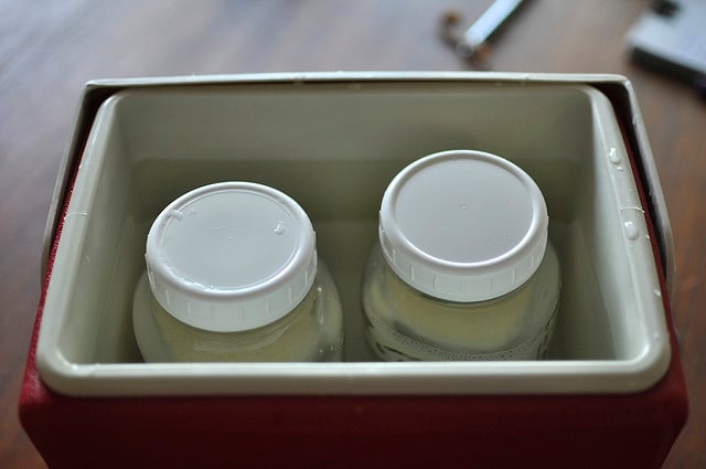 How To Make Homemade Yogurt - The Frugal Girl