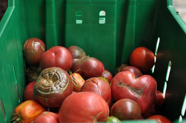 Tips for Tomato Canning Season – Food in Jars