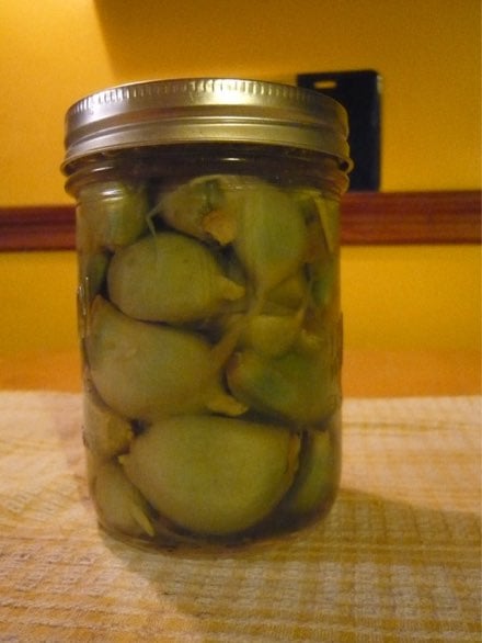 Guest Post: Aged Persian Garlic Pickles from Stefanie Kulhanek – Food in  Jars