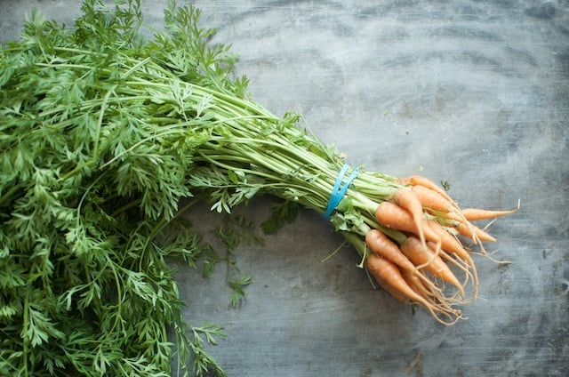 Top and Garlic Scape Pesto Food in Jars