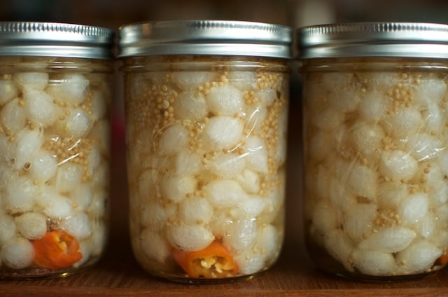 International Can It Forward Day And Onion Pickles From The Ball Blue Book Food In Jars