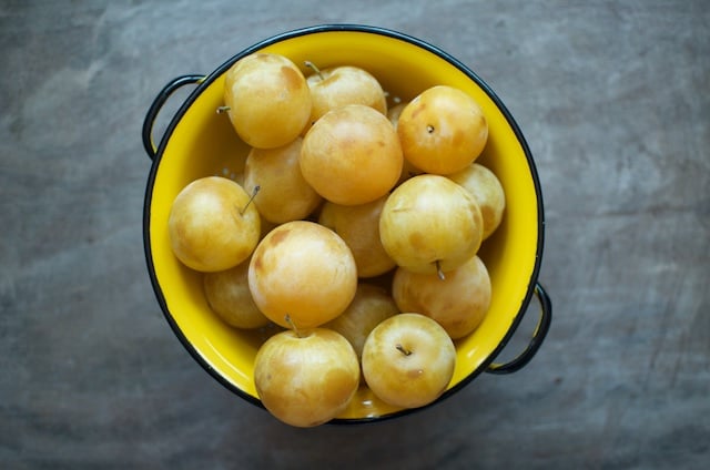 https://foodinjars.com/wp-content/uploads/2015/08/three-pounds-yellow-plums.jpg