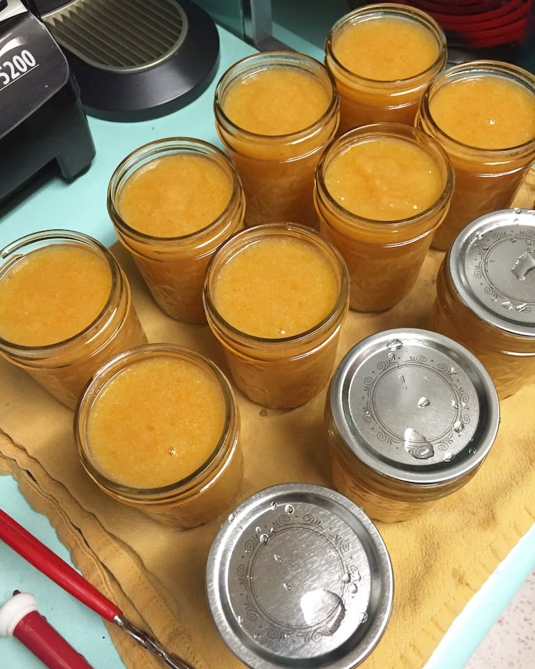 Meyer Lemon Lavender Jam – Food in Jars