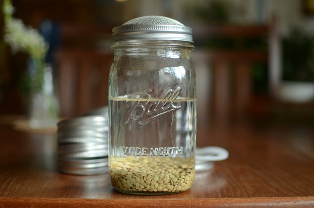 https://foodinjars.com/wp-content/uploads/2017/03/Mason-Jar-Lifestyle-sprouting-lid-on-jar.jpg