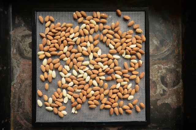 THE FARMER Dry Fruit Cutter And Slicer, Almond Cutter And Slicer